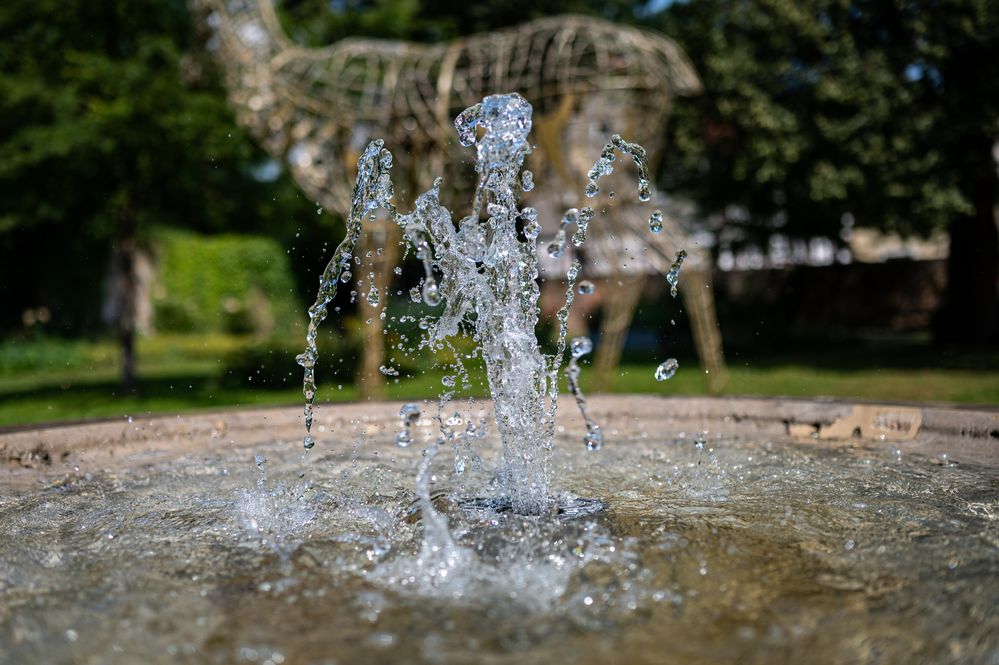 2021-Zierbrunnen nahe der Stiftsruine in Bad Hersfeld