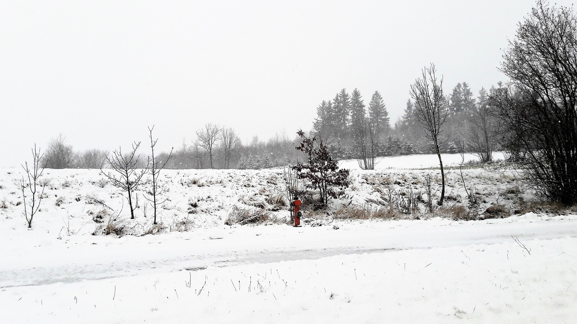 20210105 Hydrant vor unserem Anwesen  im Schneefall