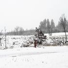 20210105 Hydrant vor unserem Anwesen  im Schneefall