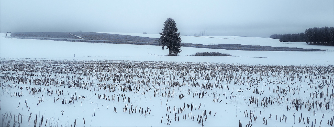 20210106 Photovoltaikanlage  in der Schneelandschaft