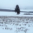 20210106 Photovoltaikanlage  in der Schneelandschaft