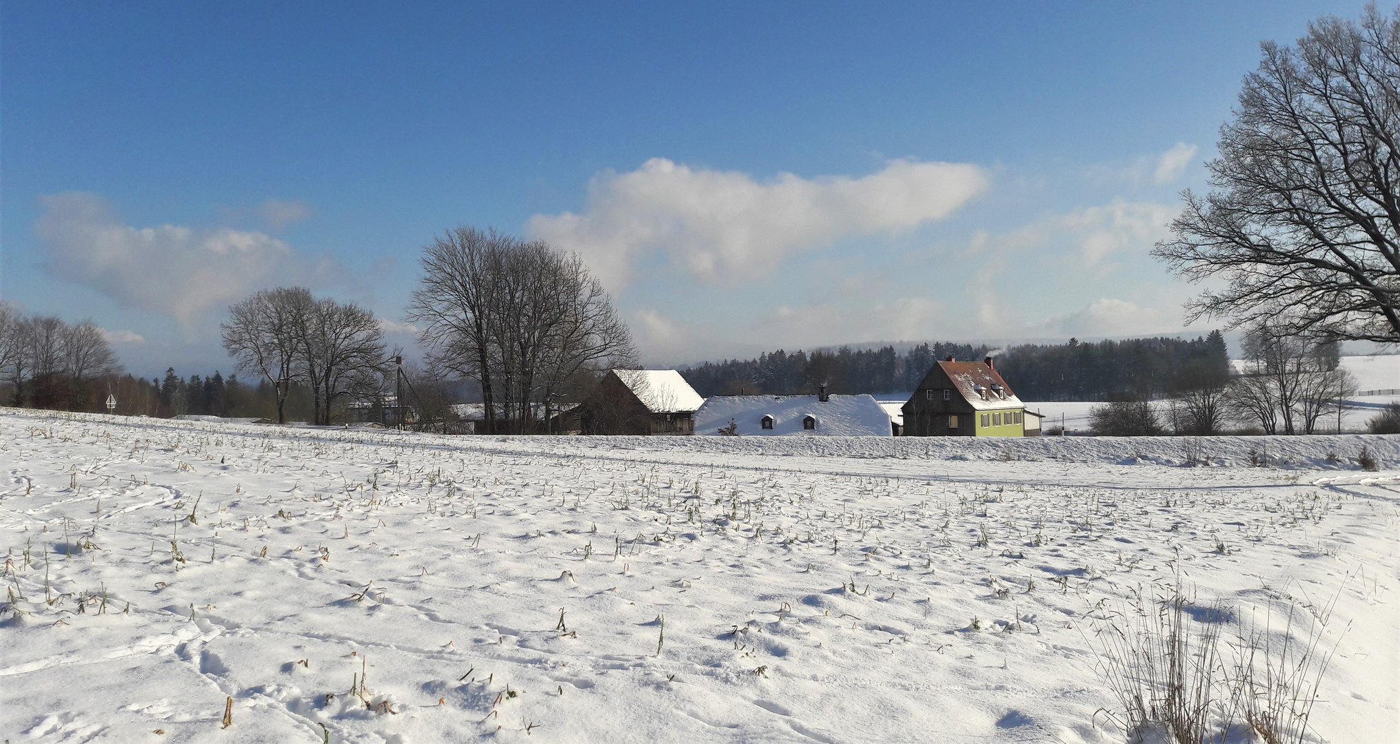 20210110 Blick über die Dächer