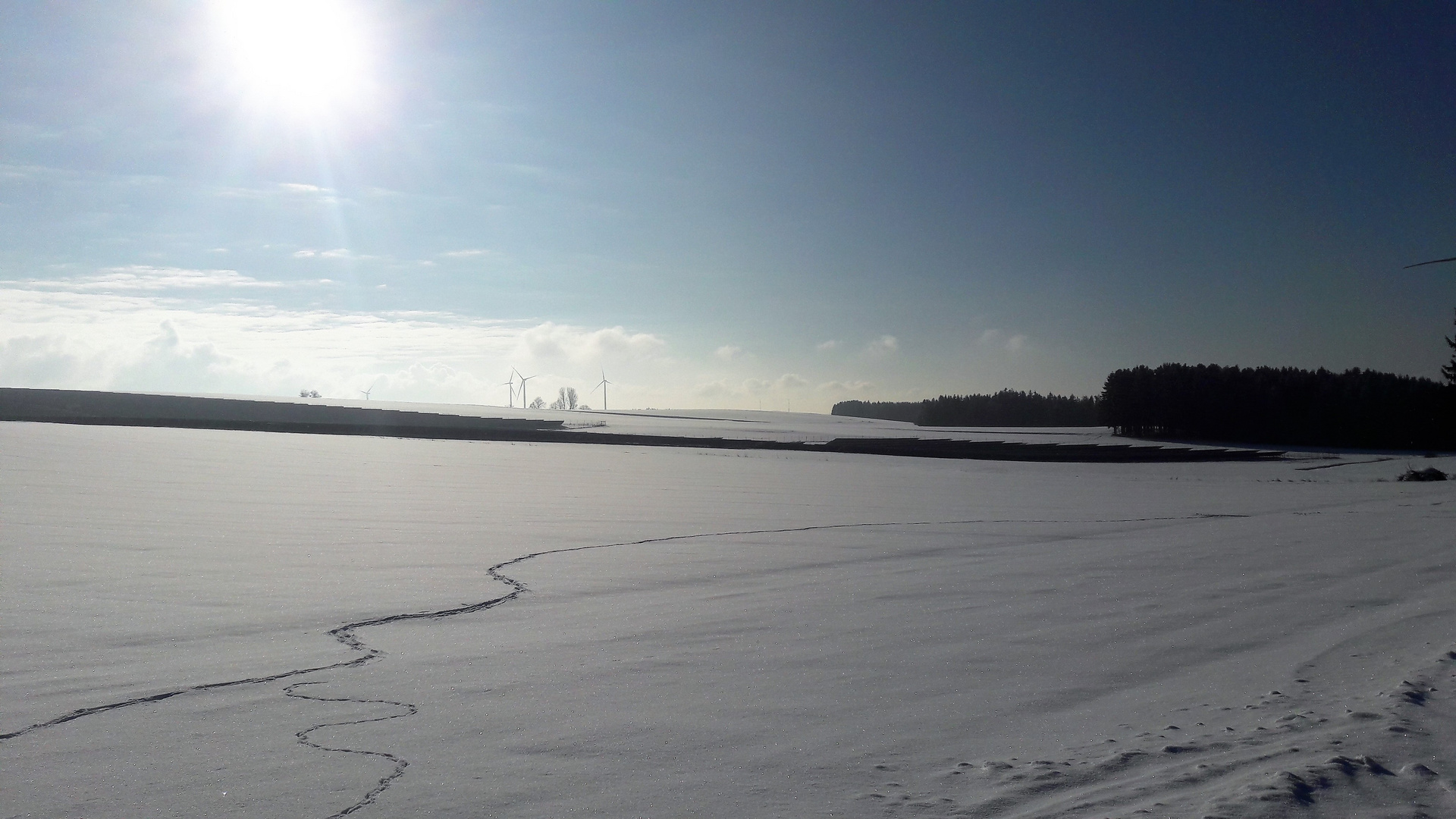 20210110 Schneeparadies mit Wildspuren