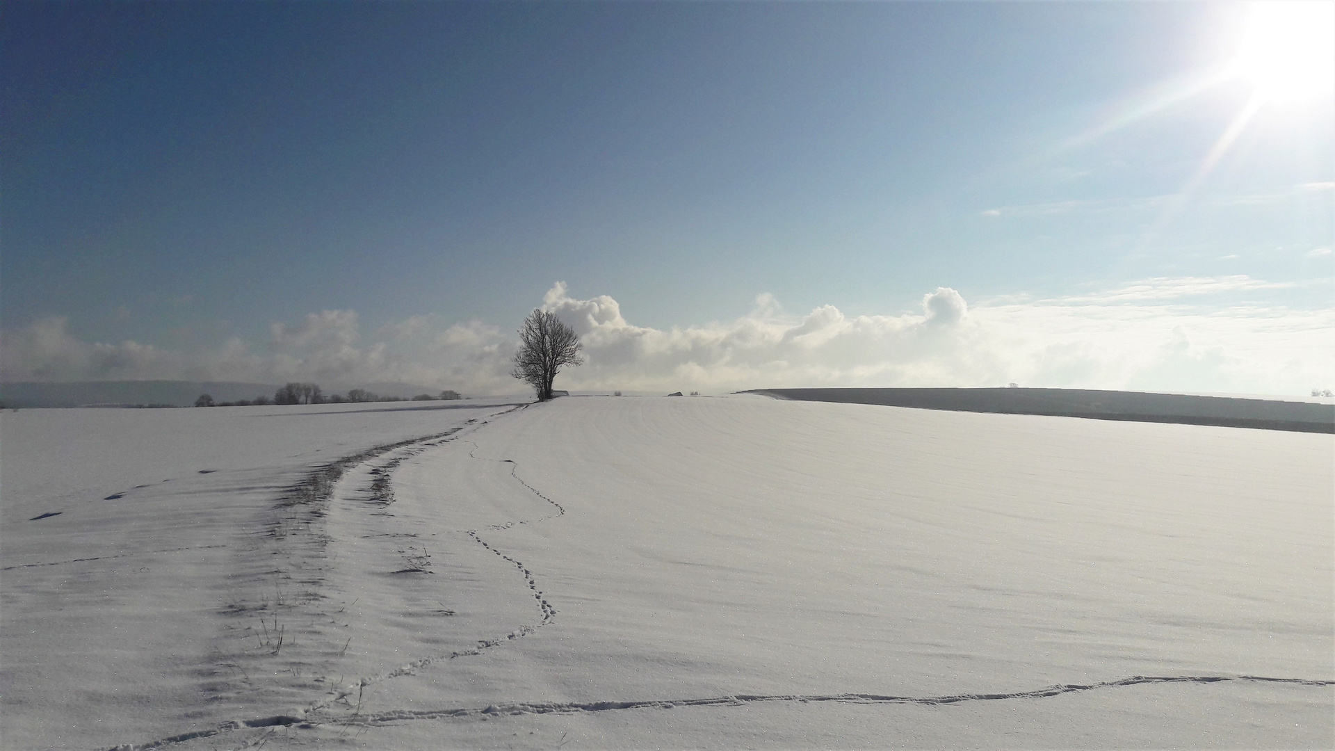 20210110  Winterlandschaft in der Mittagssonne