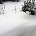 20210112 Land unter  (Schnee) Kein Auto mehr im Hof
