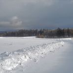 20210114 Wasserscheideweg : Frisch geräumt  ! ?