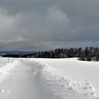 20210114  Wasserscheideweg :wieder zugeweht