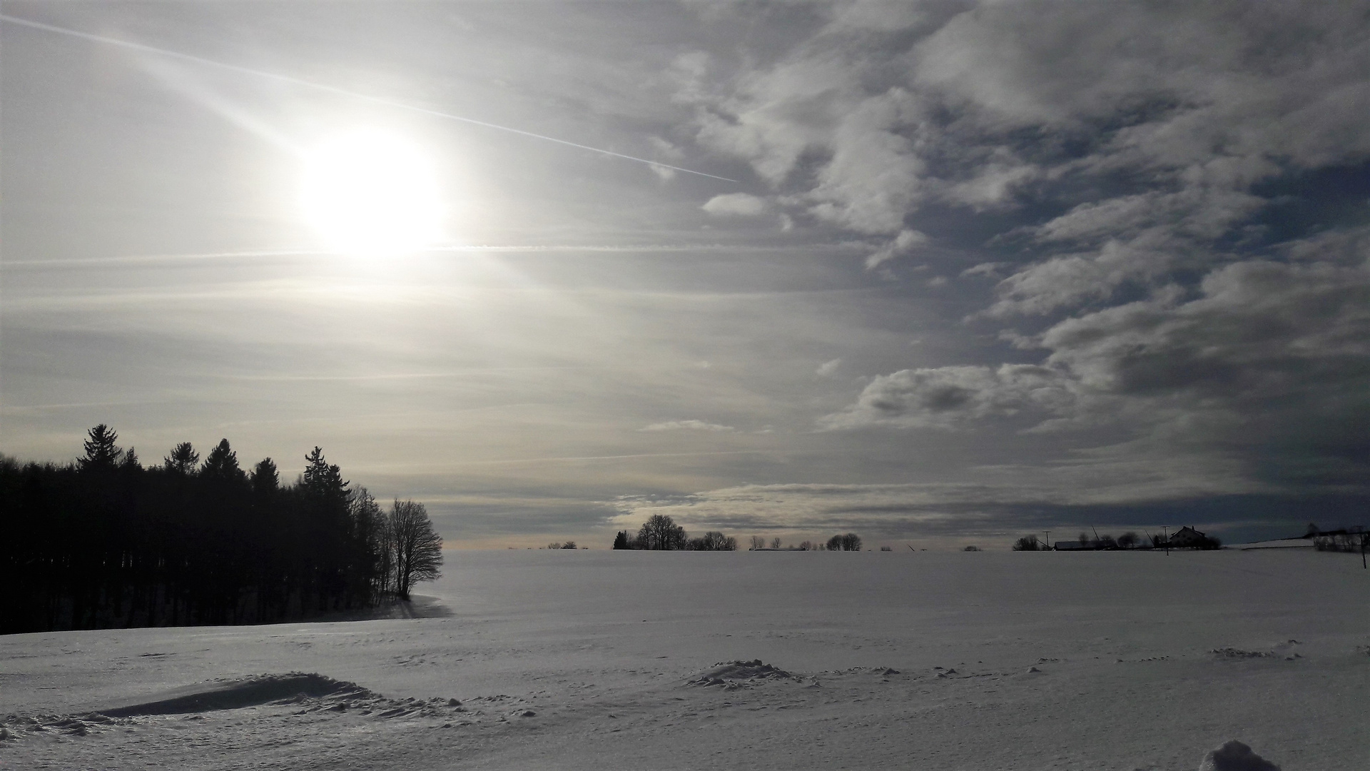 20210120 Wintersonne zur Mittagszeit