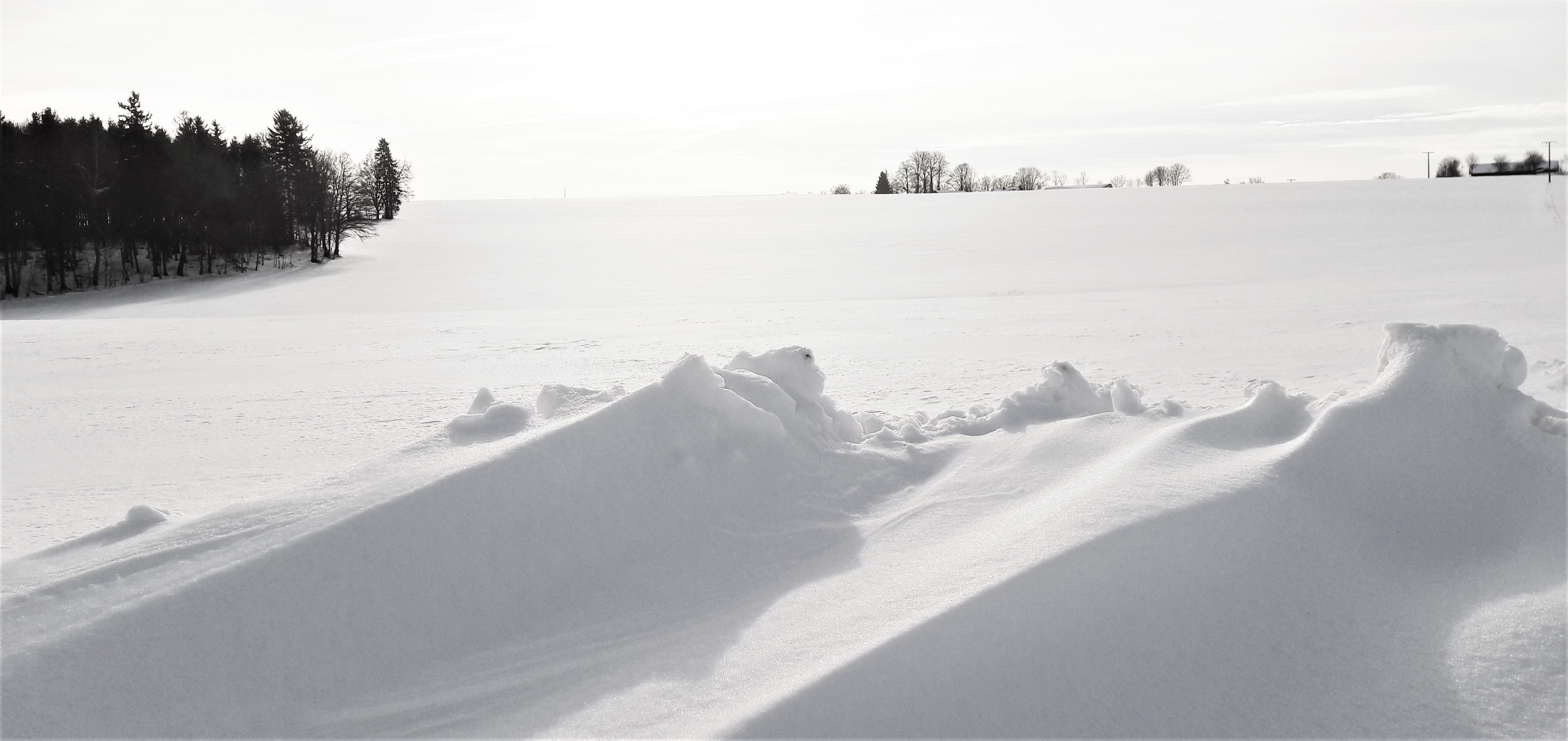 20210120 Zwei liegende Schneemonster in Lauerstellung