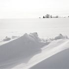 20210120 Zwei liegende Schneemonster in Lauerstellung