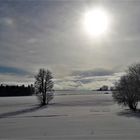 20210125  Mittagssonne und Wolken über der verschneiten Landschaft