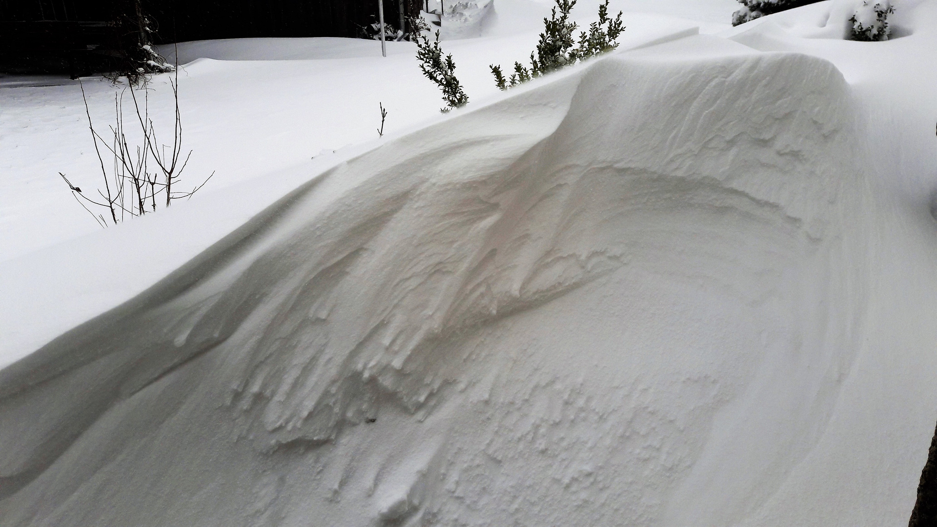 20210126 Schnee total : Ich gebe auf :-((  !