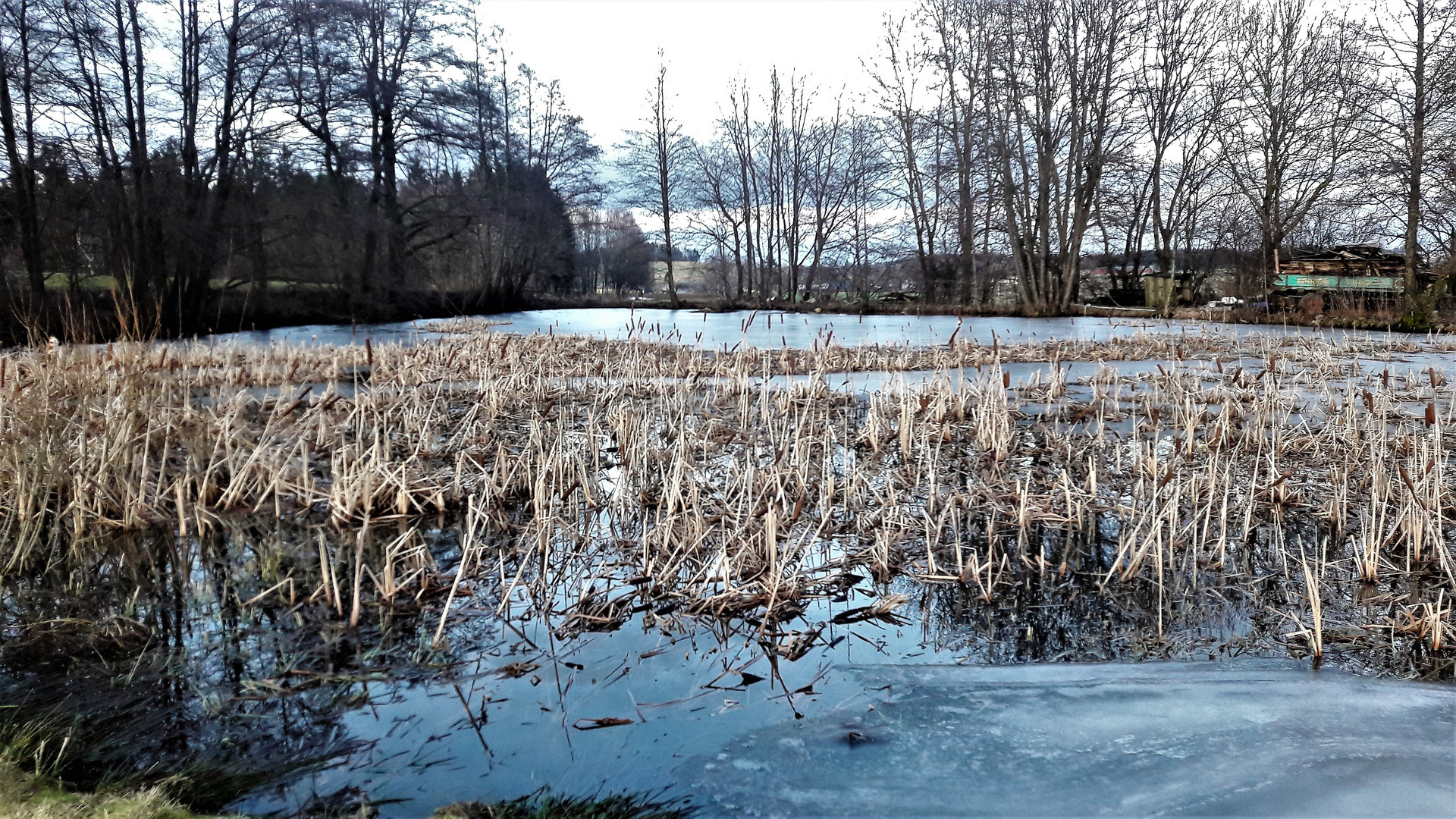 20210204 Der Lernschwimmteich in voller Breite (Blickrichtung Lösten) taut auf