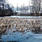 20210204 Der Lernschwimmteich in voller Breite (Blickrichtung Lösten) taut auf