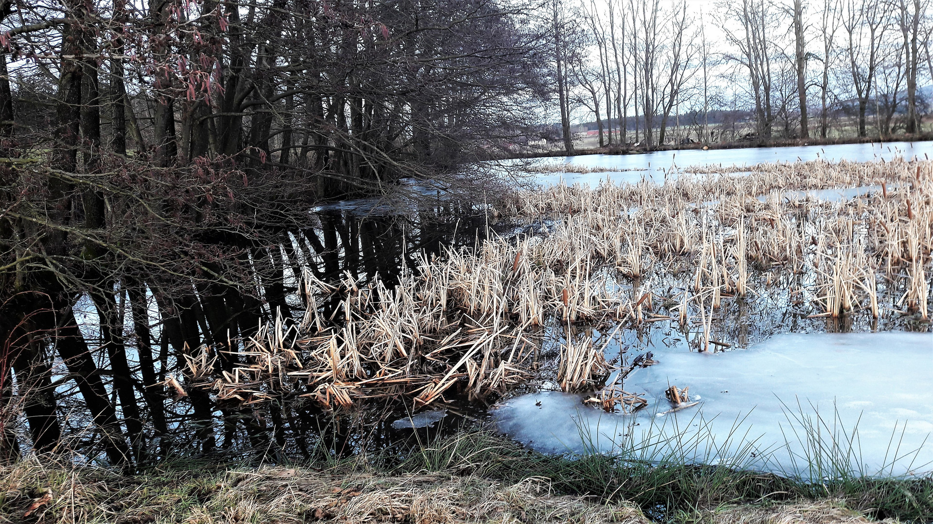 20210204 Lernschwimmteich mit freigetauten Flächen