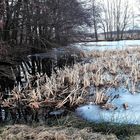 20210204 Lernschwimmteich mit freigetauten Flächen