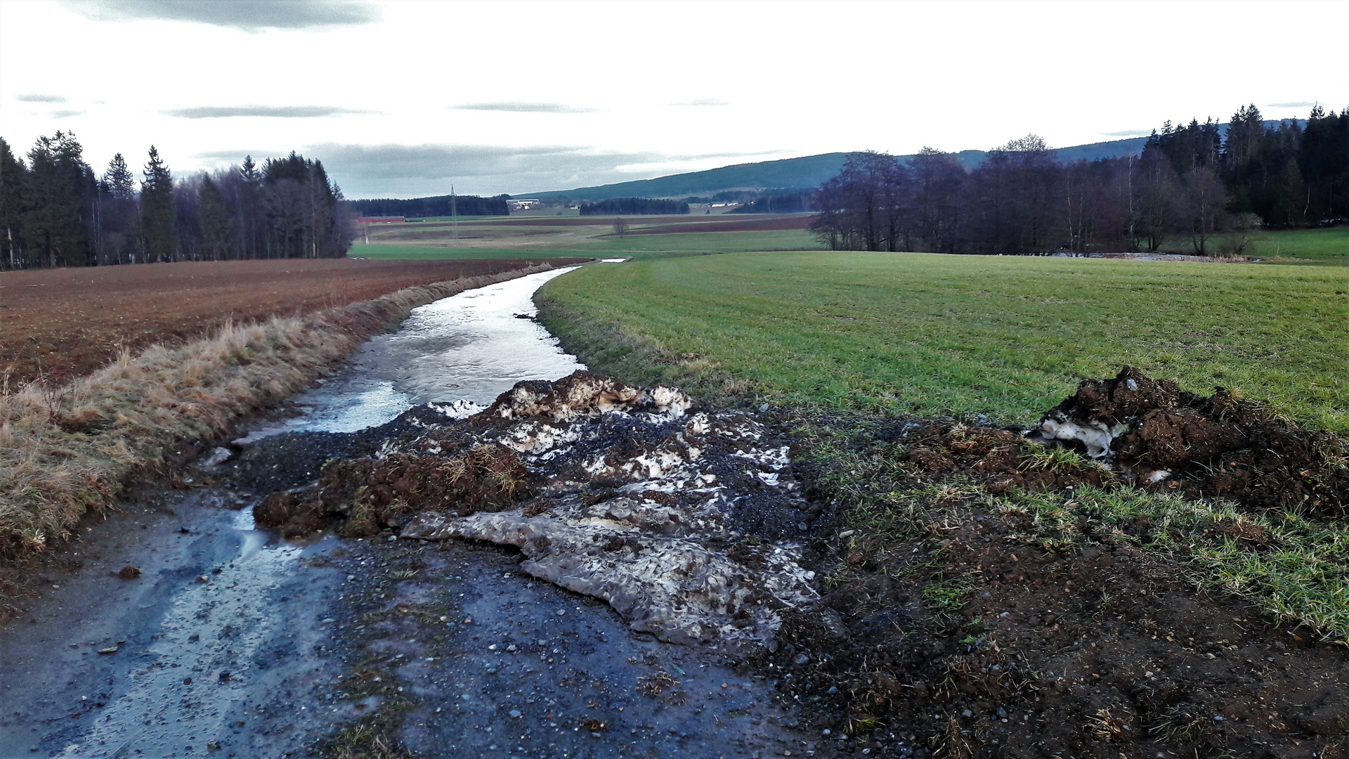 20210204 Wasserscheideweg : Weiter nur mit  LL-Skiern