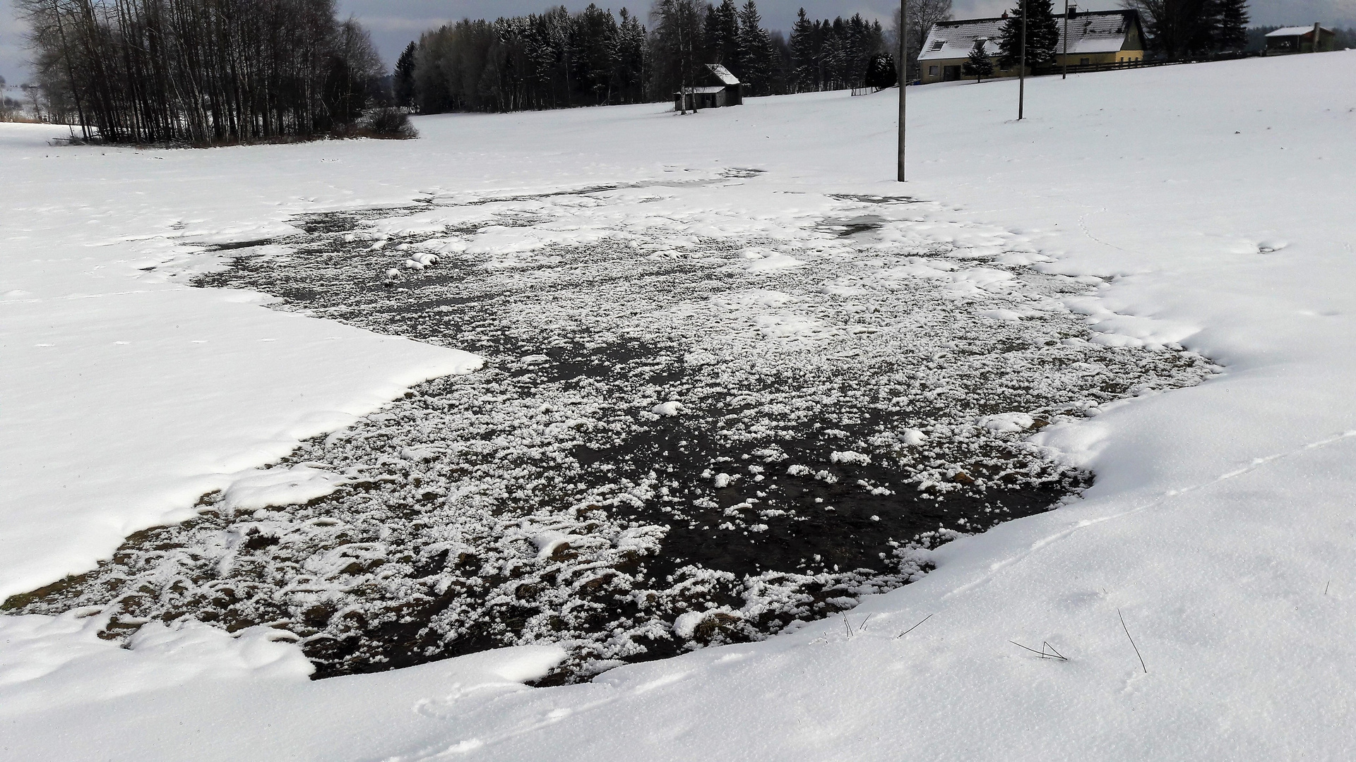 20210213 Der Seerosenteich läuft aus bei -14 Grad