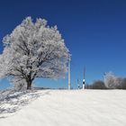 20210214 Schattenmuster an der Straßenböschung