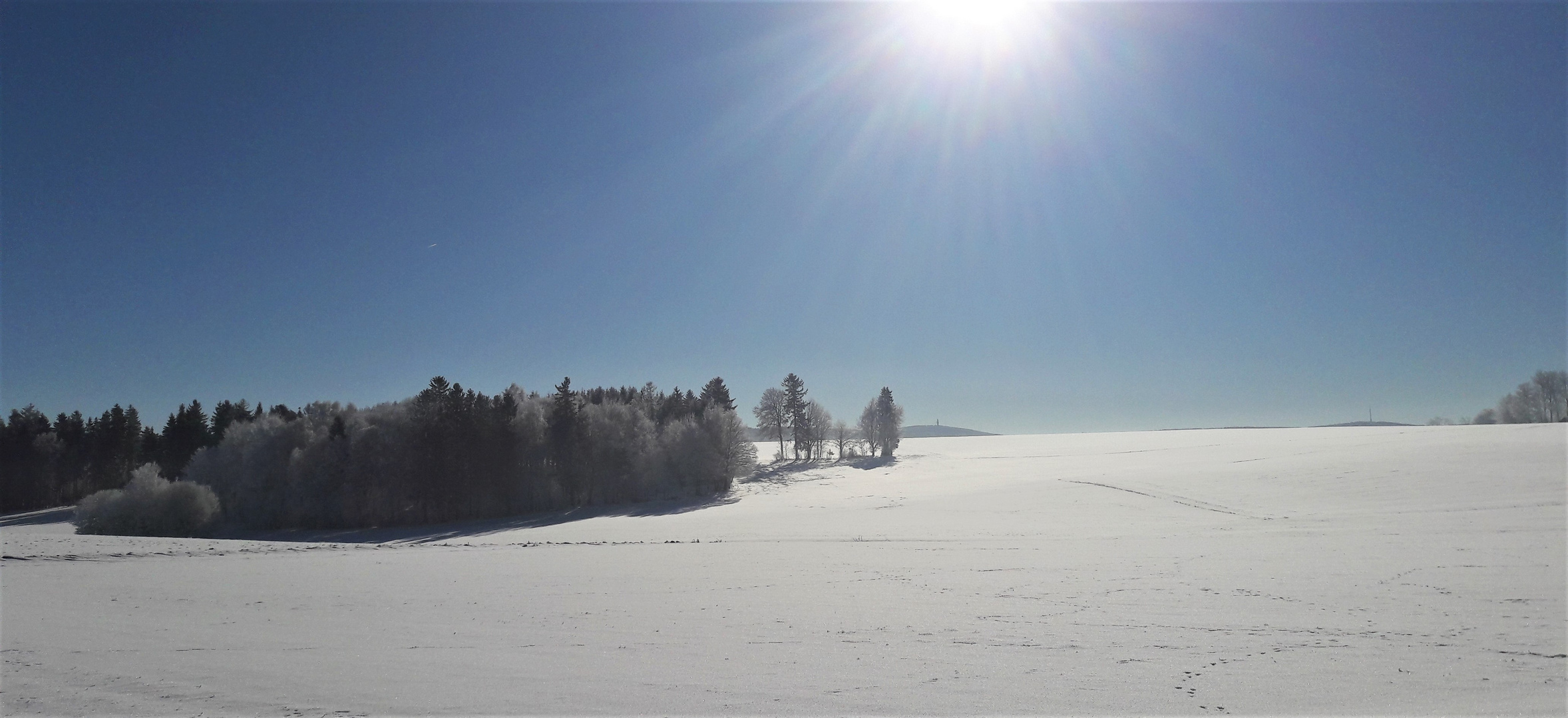 20210214 Weißer Wald im Sonnnschein und Wildspuren im Schnee