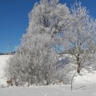 20210214 Winterzauber und Wildspuren im Schnee