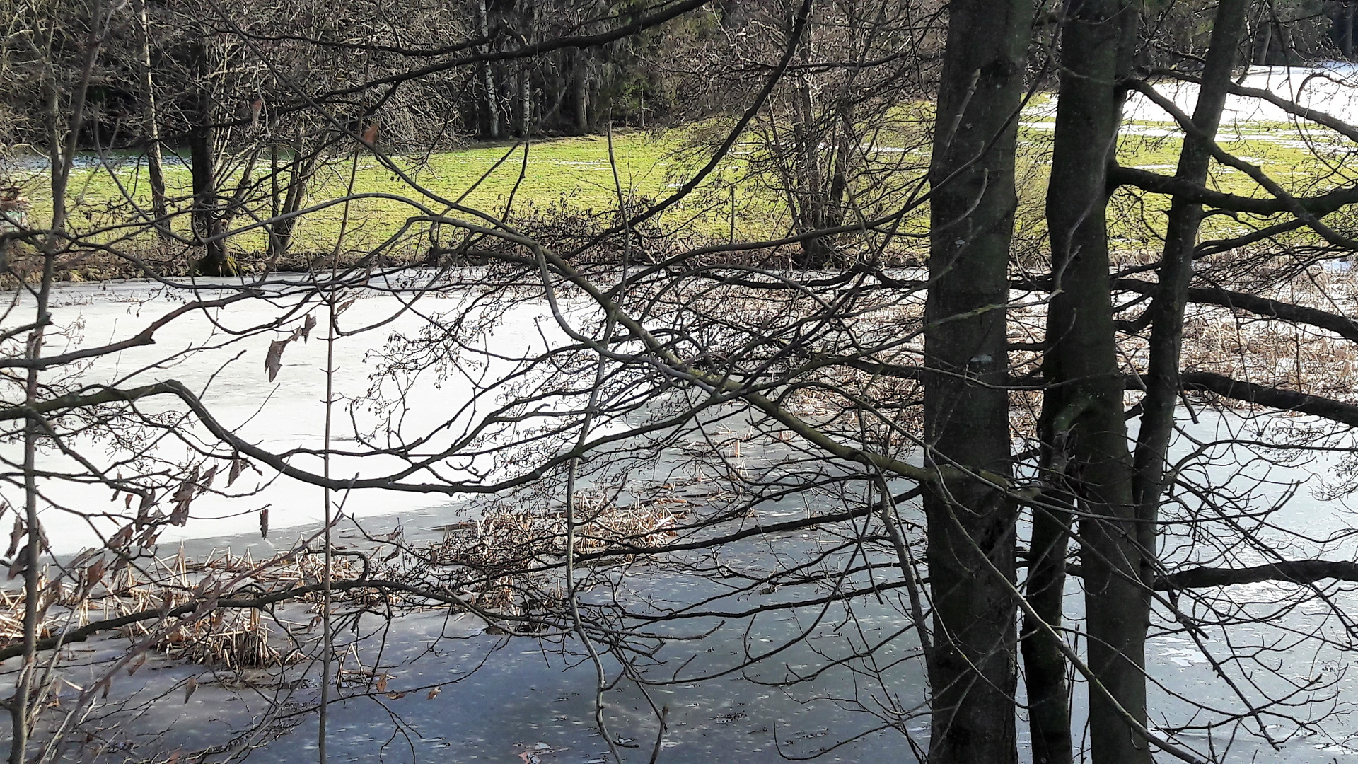 20210219 Lernschwimmteich wieder (und immer noch) zugefroren