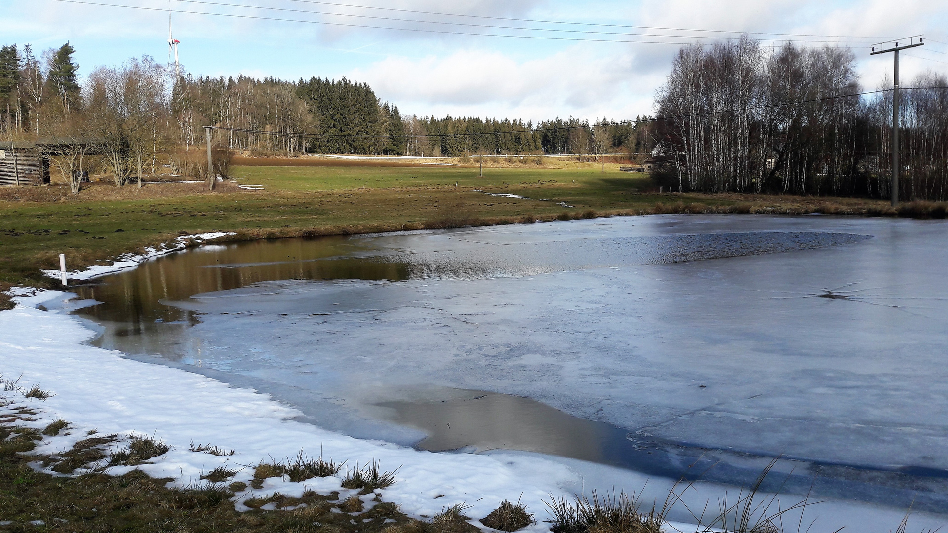 20210219 Seerosenteich am Auftauen