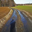 20210219 Wasserscheideweg ins Dorf Lösten und damit ins Dorf (wirts-) haus