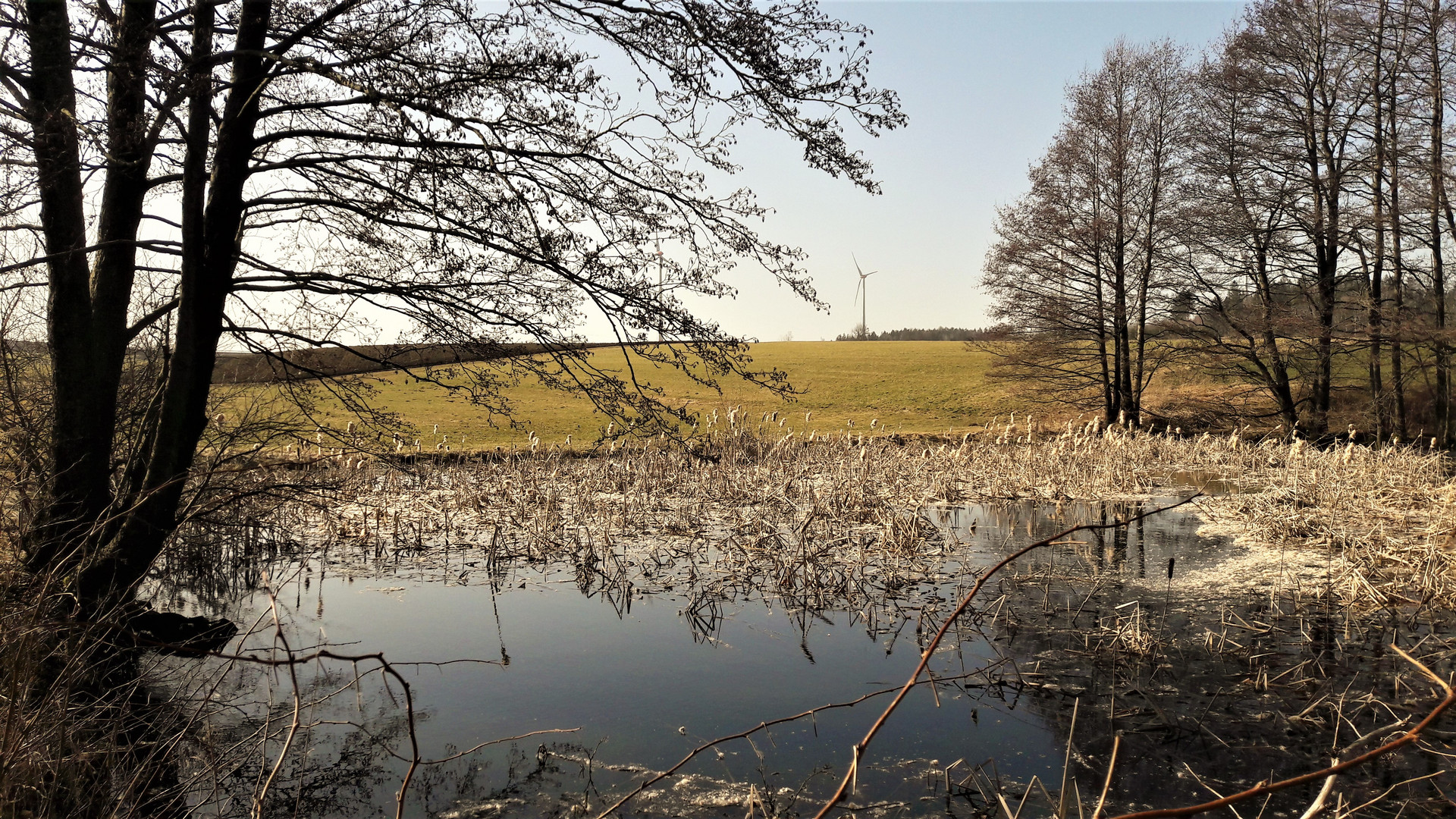 20210225 Der Lernschwimmteich in der Mittagssonne