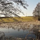 20210225 Der Lernschwimmteich in der Mittagssonne