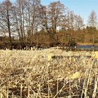 20210225 Lernschwimmteich mit Frühlingsgefühlen