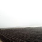 20210301 Nebel auf der Flucht