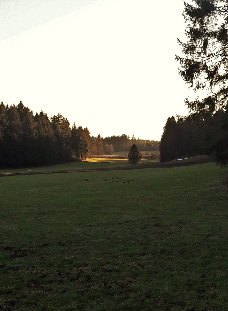 20210307 Blick ins Tal