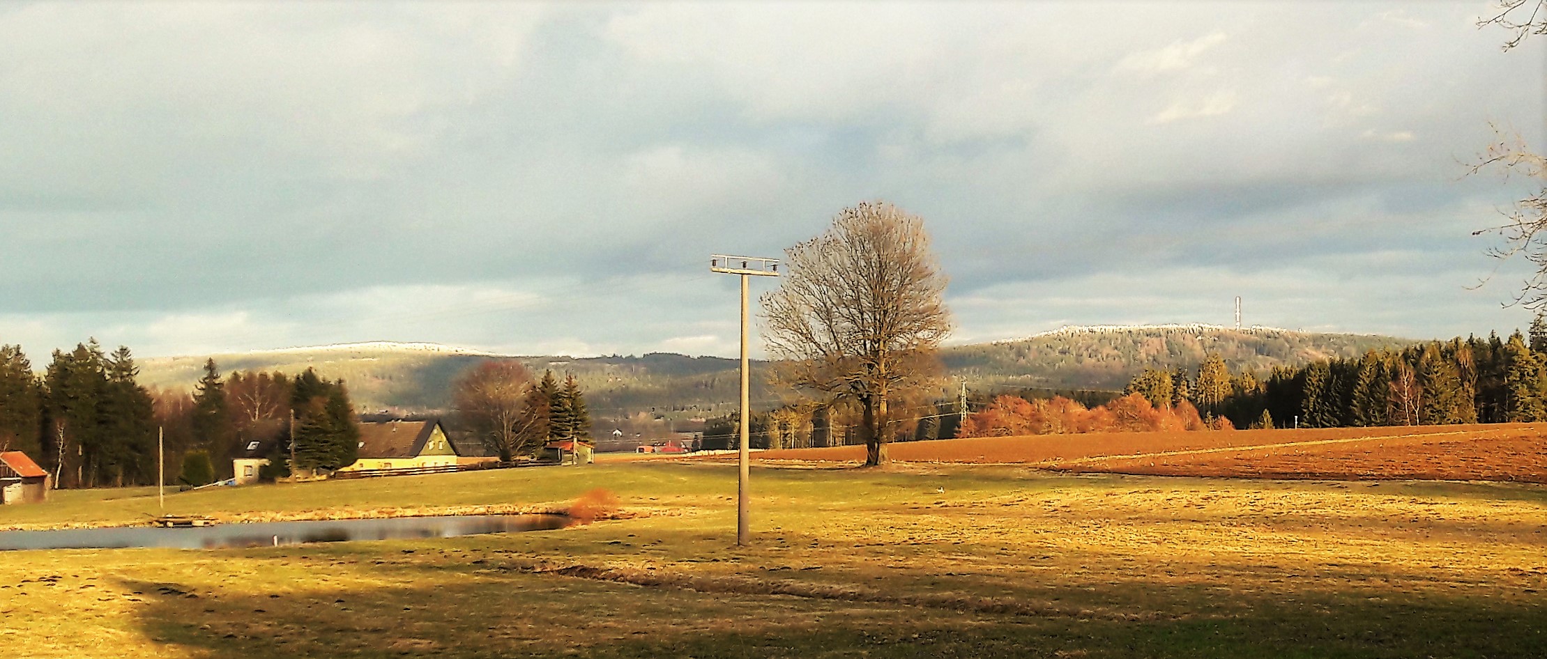 20210315  Sonnenbeschienener Schnee auf den Wipfeln des Waldsteins  (Fichtelgebirge)