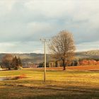 20210315  Sonnenbeschienener Schnee auf den Wipfeln des Waldsteins  (Fichtelgebirge)