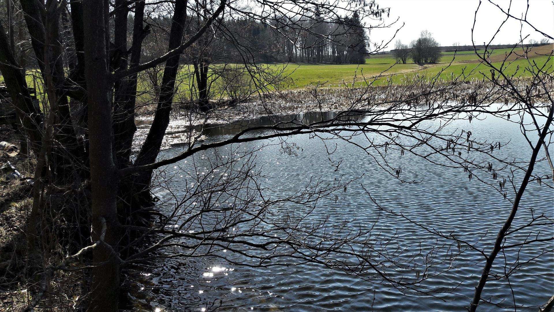 20210331 Freude  am Lernschwimmteich