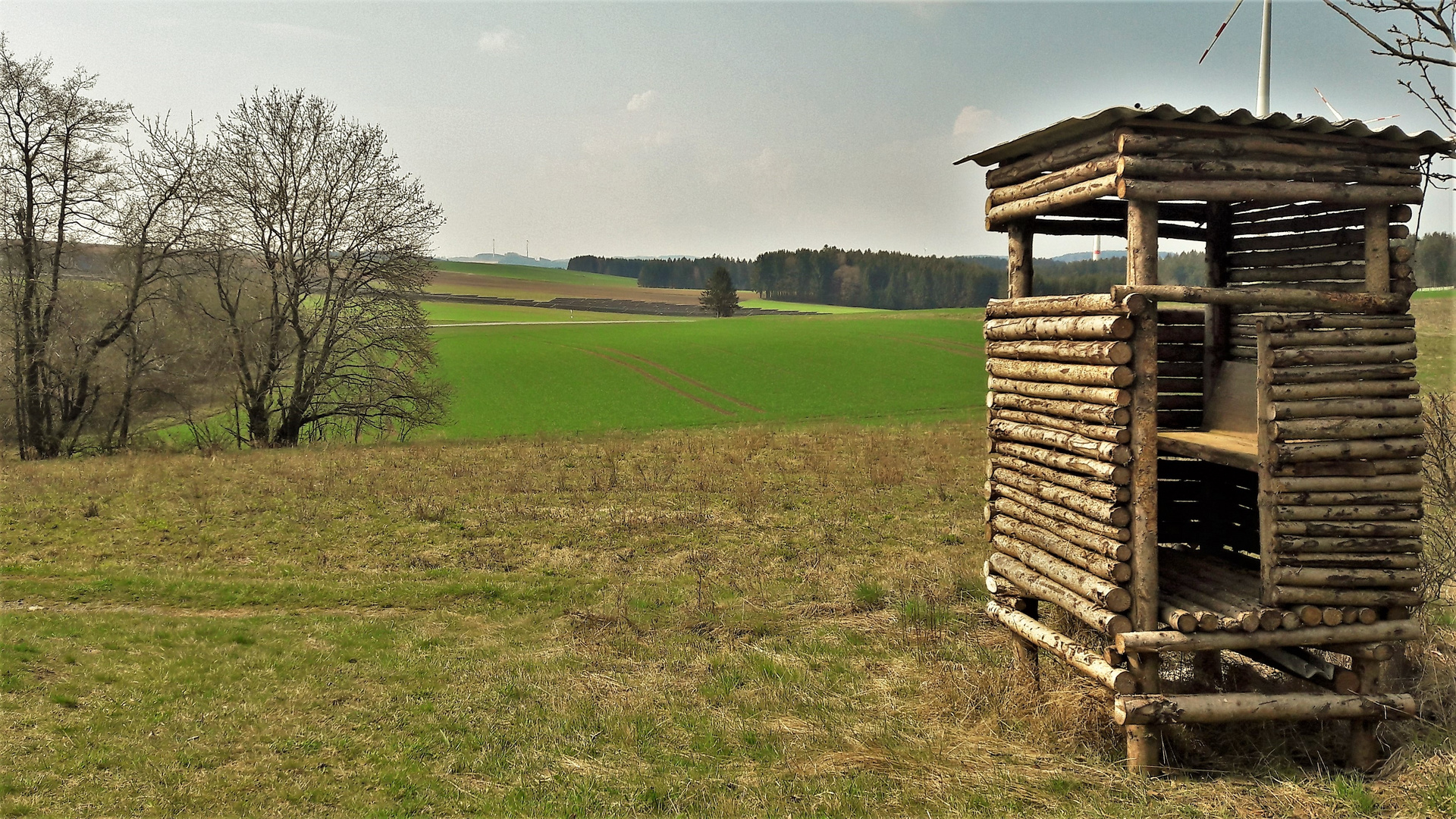 20210421 Ansitz mit Weitblick