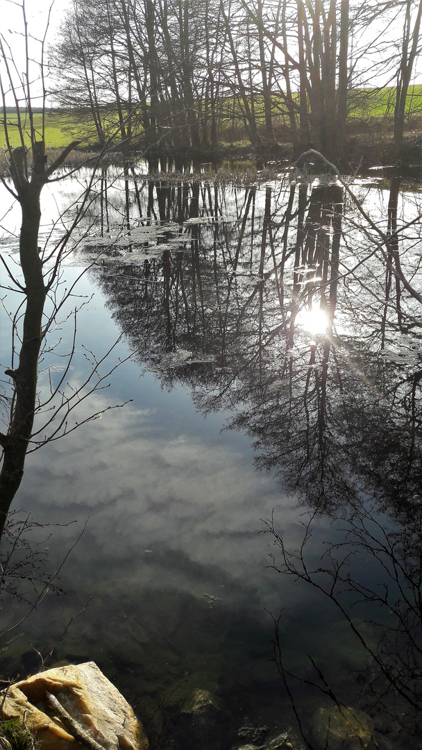 20210428 Abends am Lernschwimmteich