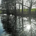 20210428 Spiegeltag:Lernschwimmteich  Freischwimmfläche mit Unterwassersonne