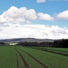 20210516 Blick ins sonnenbeschienene ( mit Wolkenschatten)Fichtelgebirge