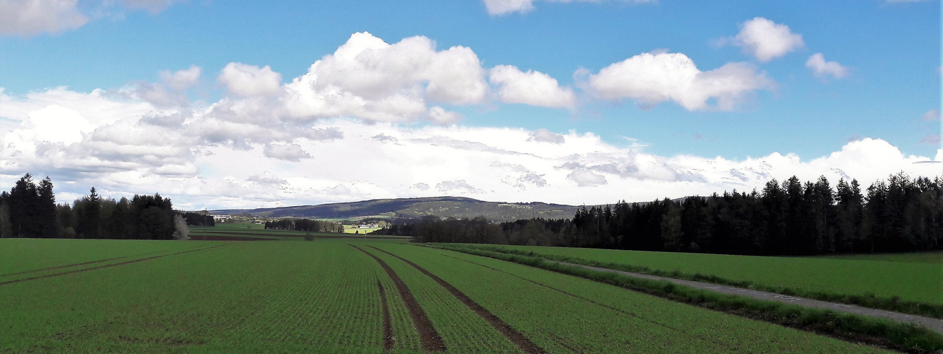 20210516 Blick ins sonnenbeschienene ( mit Wolkenschatten)Fichtelgebirge