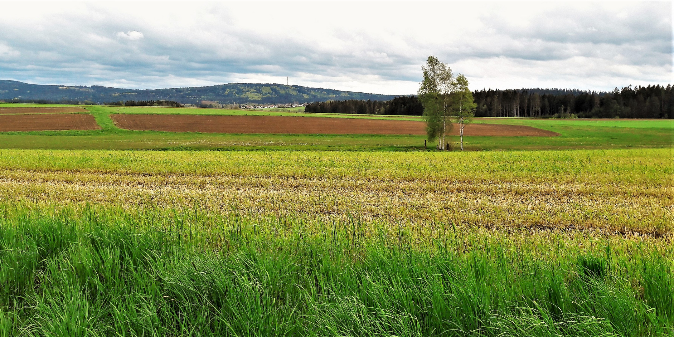 20210521 Blick zum Waldsteinsender im Fichtelgebirge