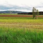 20210521 Blick zum Waldsteinsender im Fichtelgebirge