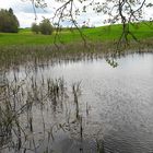 20210521   Pfingstgrün am Lernschwimmteich