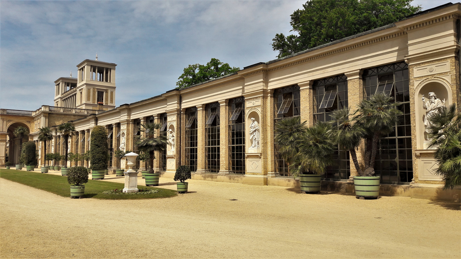 20210601 Orangerie Sanssouci  Auszug der Palmen 