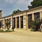 20210601 Orangerie Sanssouci  Auszug der Palmen 
