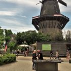 20210601 Wie Dazumal Windmühle Sanssouci Schlosspark