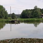 20210609 Spiegeltag : am Seerosenteich mit Nilgänsen   auf dem Podest                