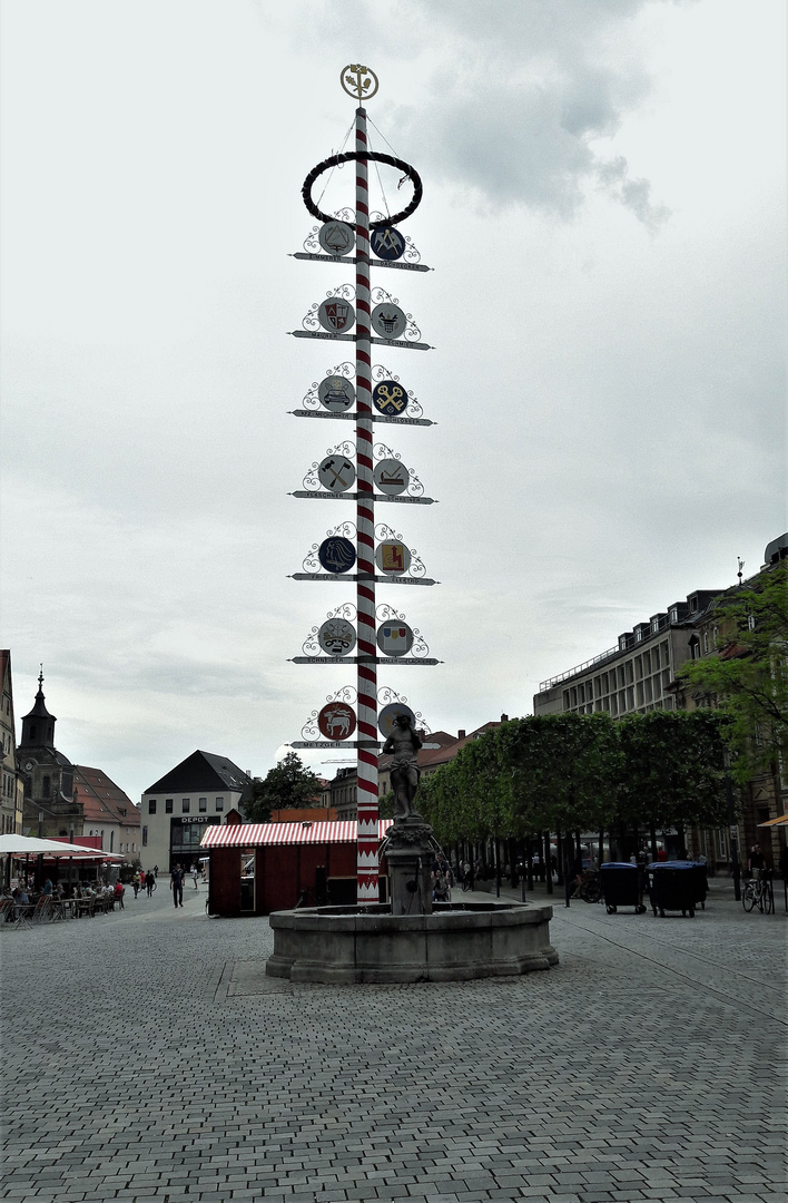 20210610 Bayreuth : Maibaum mit Zunftzeichen