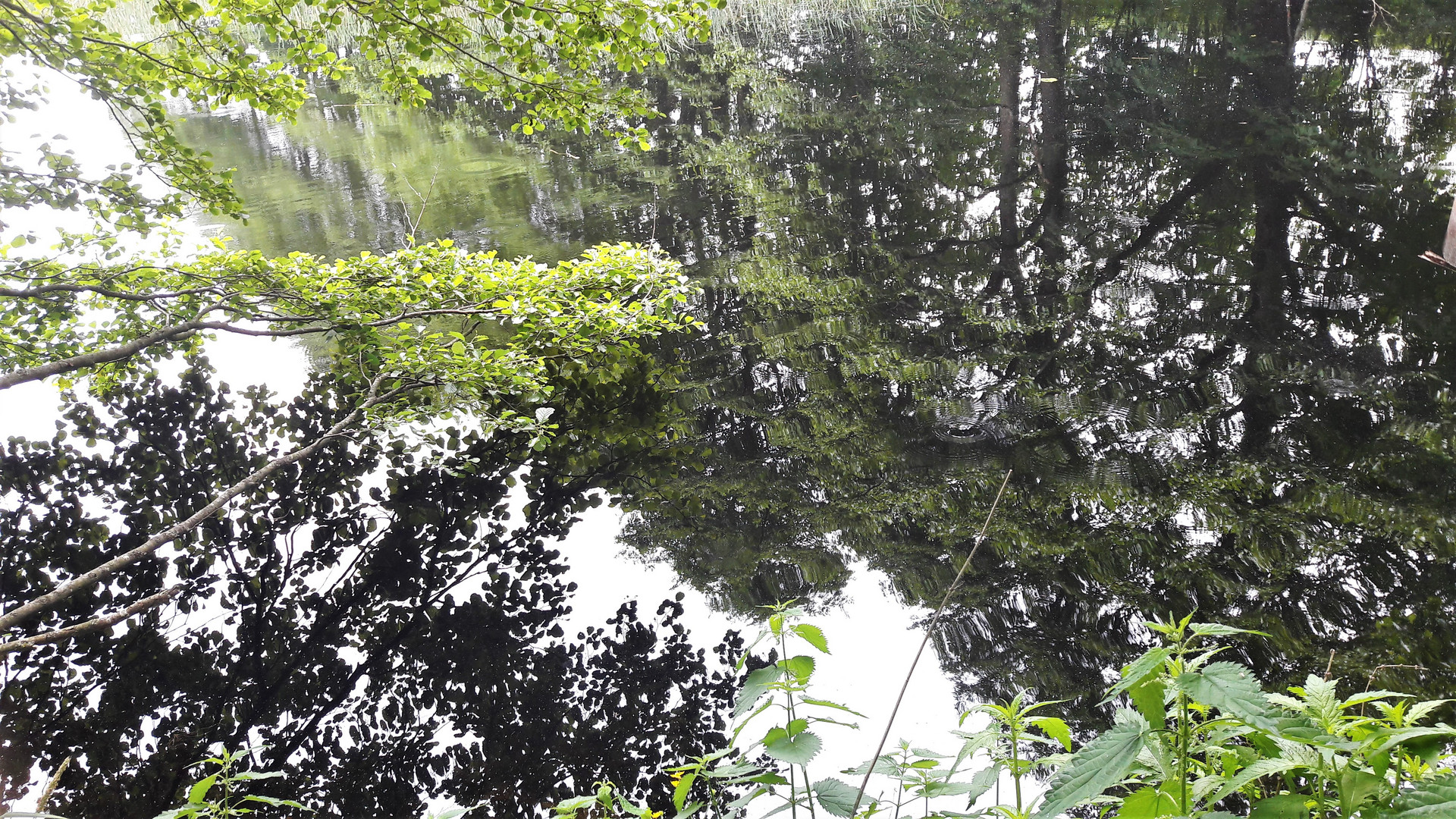 20210620  Lernschwimmteich im "Spiegelrausch" + Schattenwurf